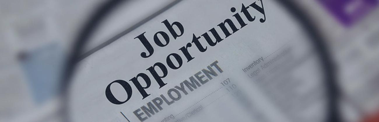 Job offers