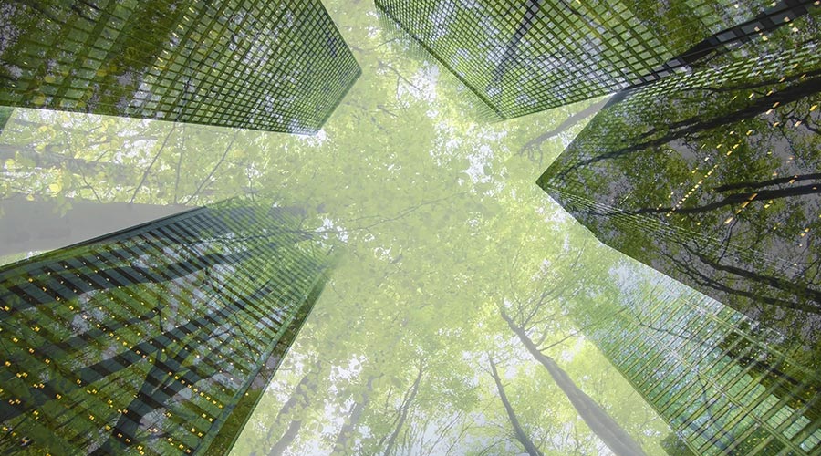 Social medioambiental