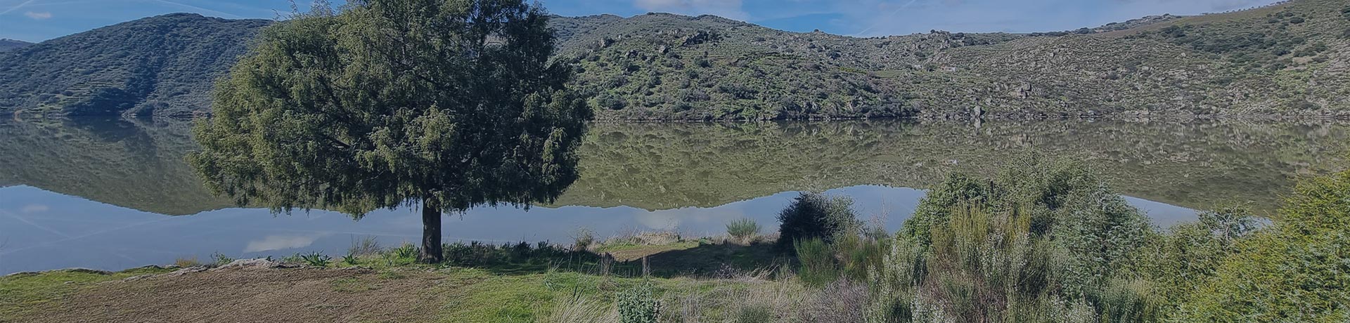 sostenibilidad corporativa