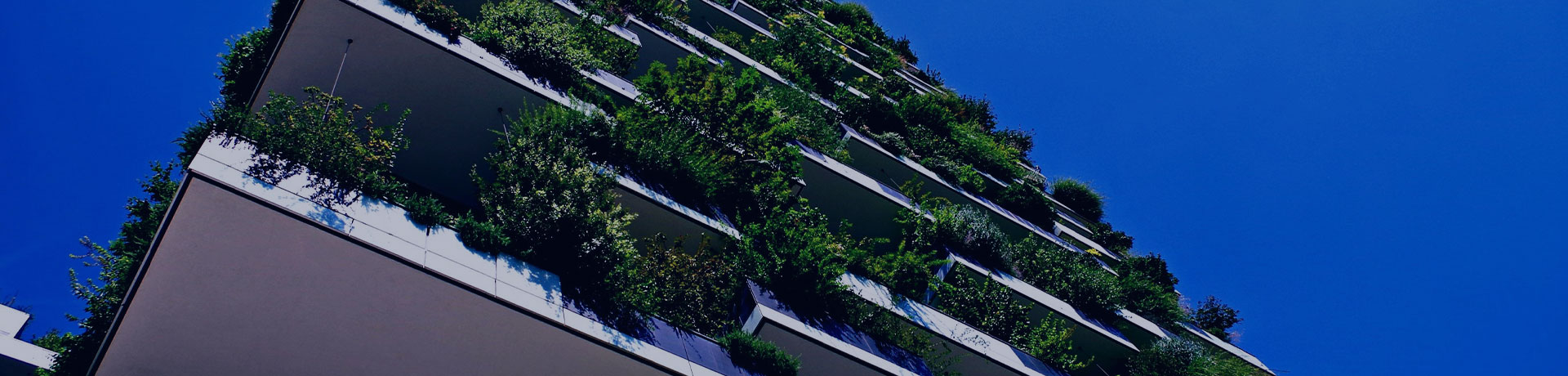 Un bâtiment avec de la verdure