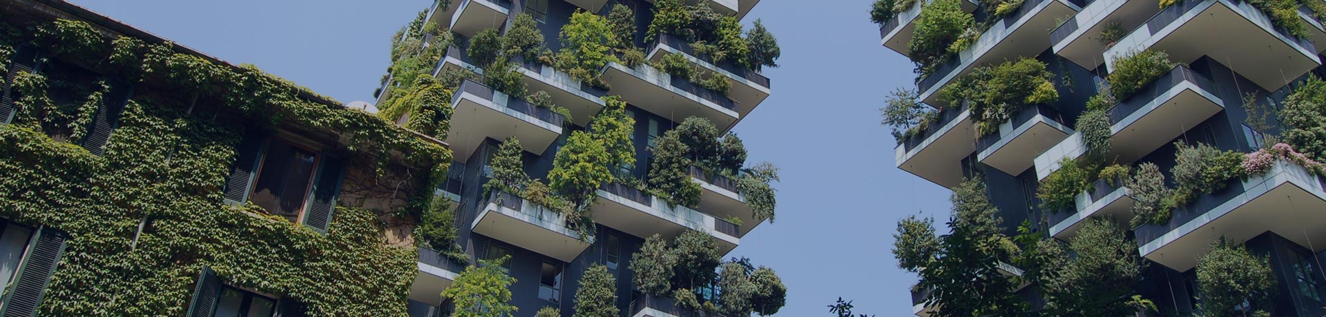 Bâtiment avec des plantes