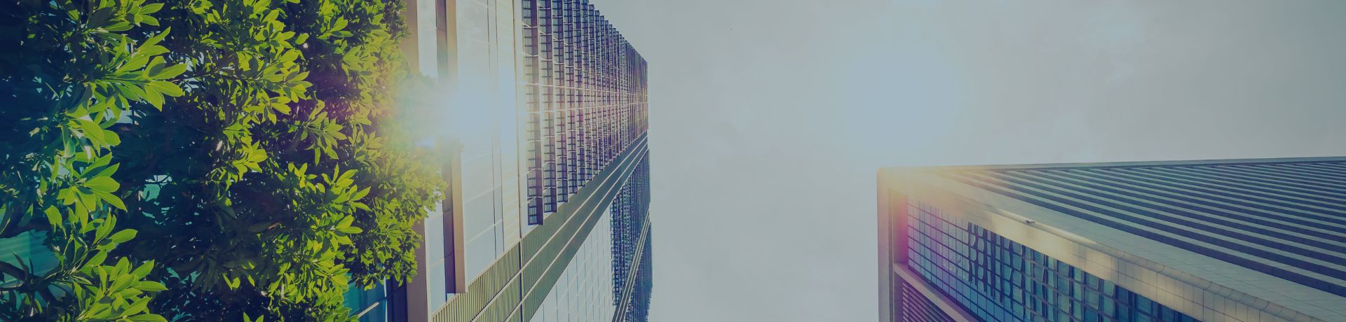 Gratte-ciel modernes et bâtiments écologiques