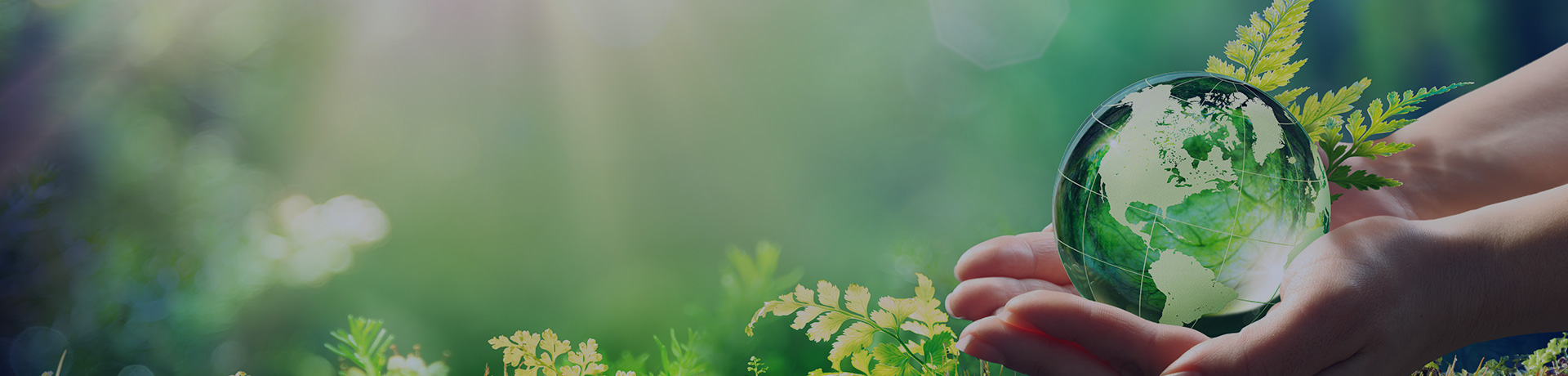 Des mains qui tiennent la planète terre
