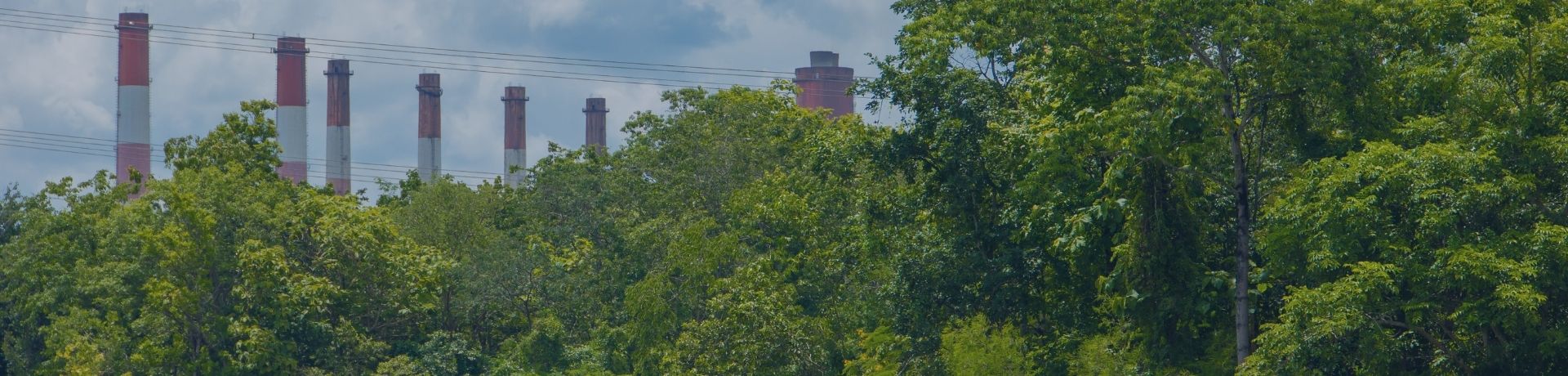 Cheminées industrielles dépassant d'une forêt dense sous un ciel nuageux.