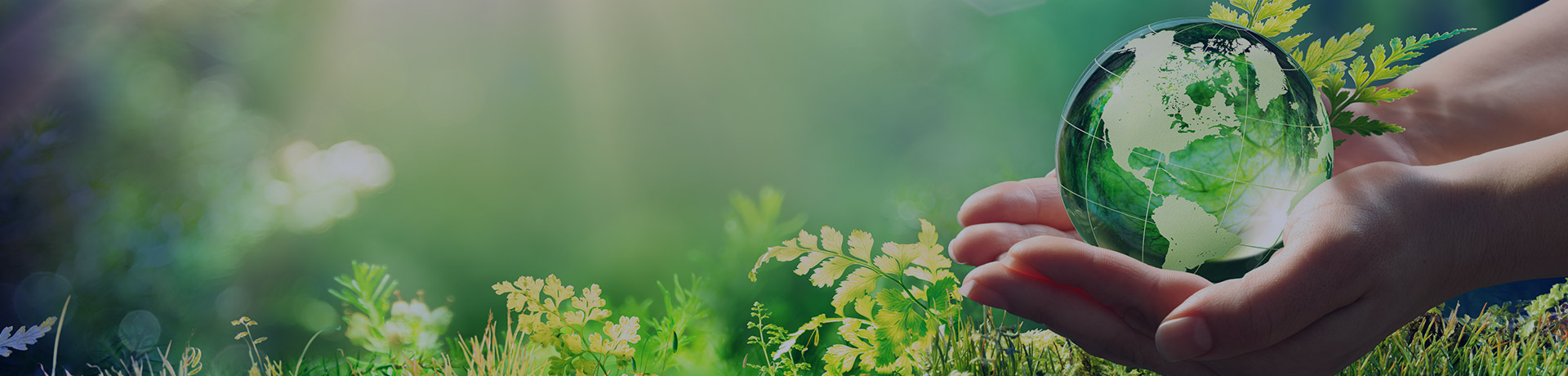 Des mains tenant la terre