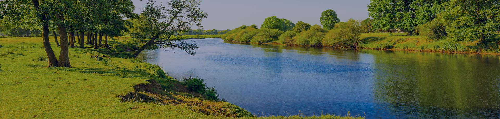Paysage estival avec prairies et rivière