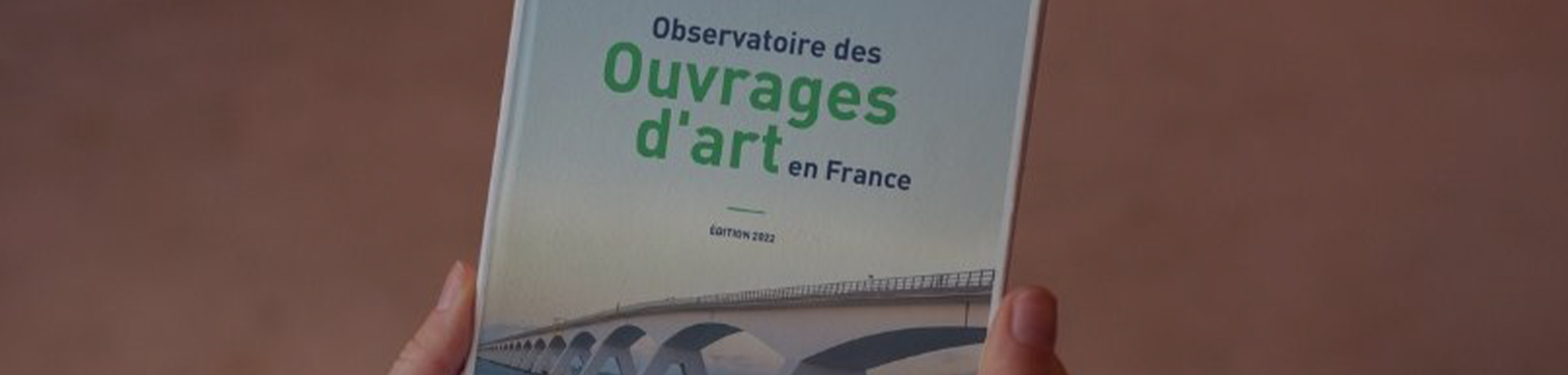 Extraits de l'observatoire "Les Ouvrages d'Art en France - Edition 2022" ©Apave