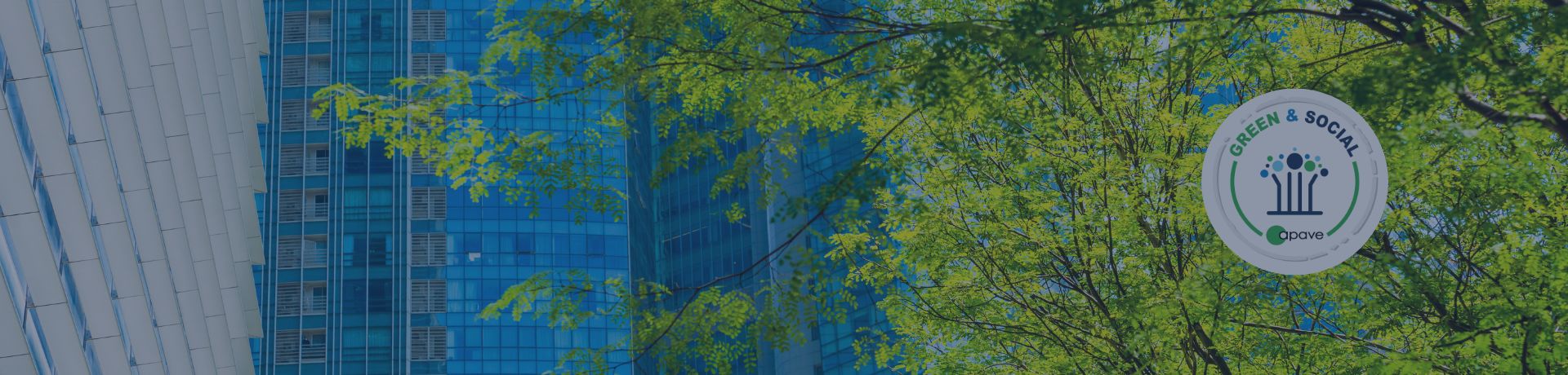 Vue de bas en haut d'un gratte-ciel moderne avec des fenêtres bleues, partiellement caché par des branches d'arbres verts.