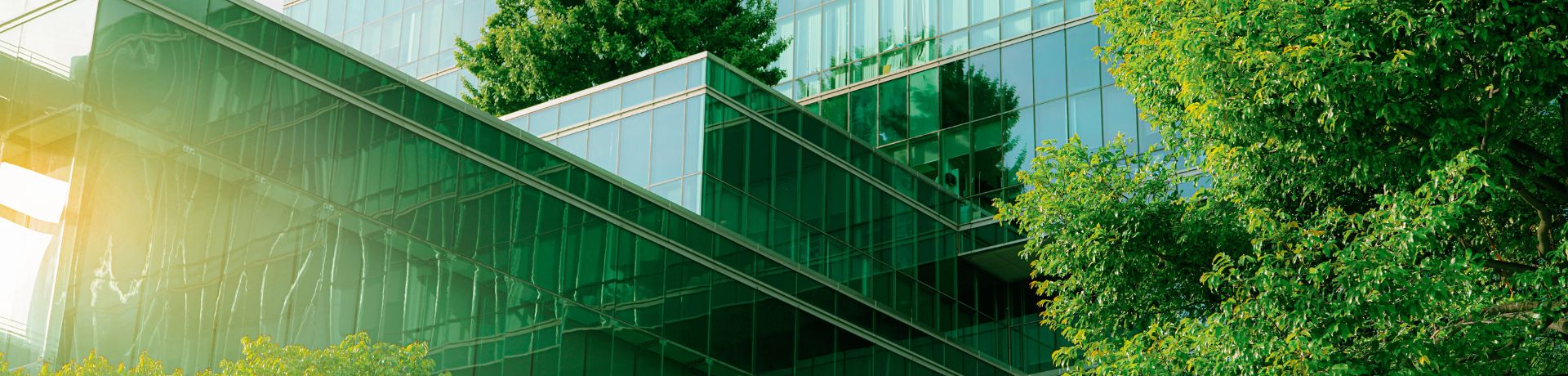 Une partie d'un bâtiment moderne avec des façades en verre vert réfléchissant le soleil et entouré d'arbres feuillus verts.