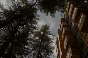 Un bâtiment avec des arbres à côté, concept de certification environnementale