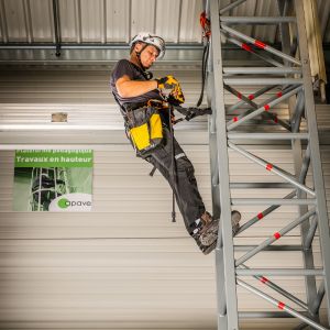 Des salariés Apave en formation Travail en hauteur