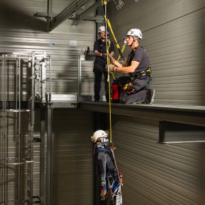 Des salariés Apave en formation Travail en hauteur