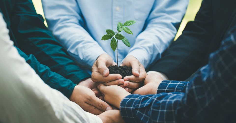 Gros plan de plusieurs mains tenant une jeune pousse verte et de la terre, symbolisant la RSE (Responsabilité Sociétale des Entreprises) et le développement durable.