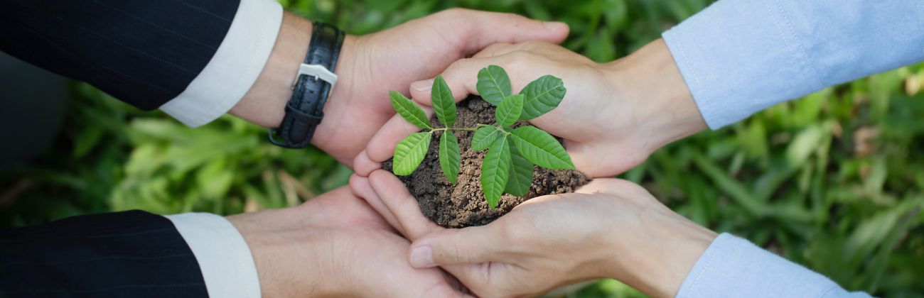 Vue en gros plan de quatre mains, dont deux en costume et deux en chemise, tenant ensemble une jeune plante avec de la terre, symbolisant la responsabilité sociale ou la Société à Mission.