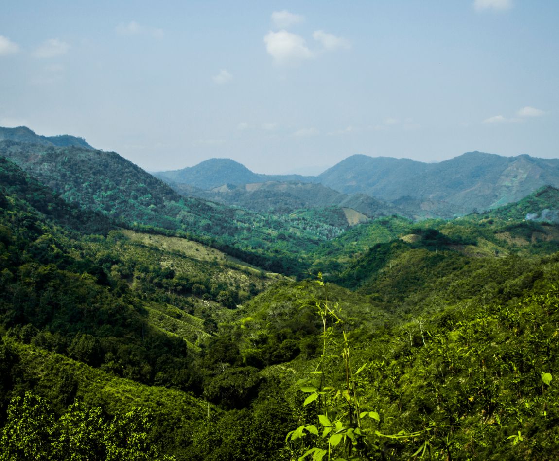 Des collines