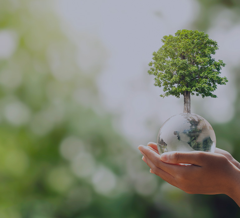 main tenant une boule représentant la terre avec un arbre qui pousse et un arrière-plan flou de nature verte. concept écologique