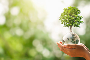 main tenant une boule représentant la terre avec un arbre qui pousse et un arrière-plan flou de nature verte. concept écologique