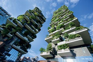 Deux bâtiments verts