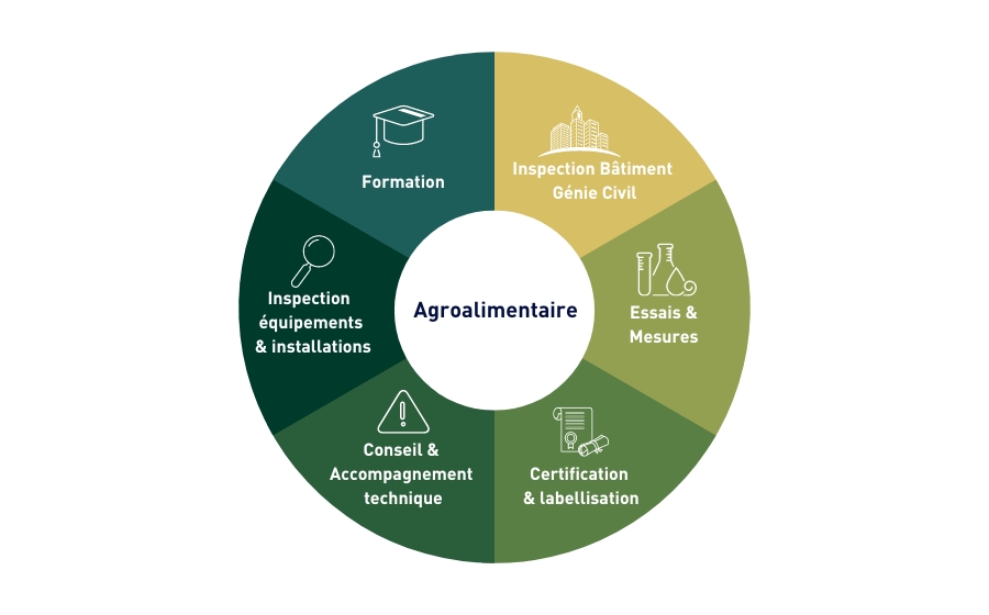Roue présentant les différents métiers Apave pour les acteurs de l'industrie Agroalimentaire : Formation, Inspection bâtiment et Génie Civil, Essais et mesures, Certification et labellisation, Conseil et Accompagnement Technique, Inspection  équipements  & installations