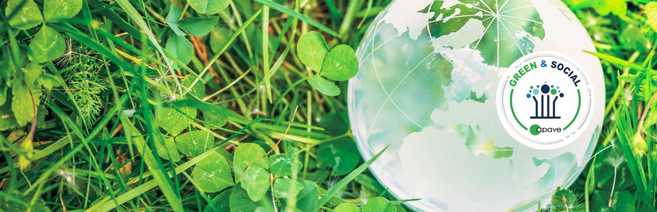 une terre dans l'herbe