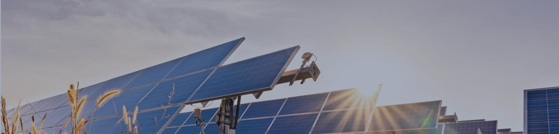 Fields of photovoltaic panels