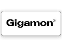 Gigamon