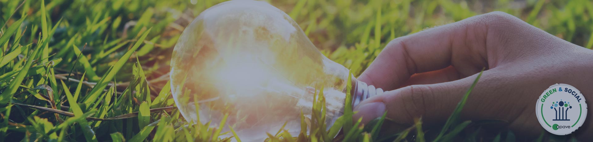 hand holding a light bulb on grass with Green and Social logo