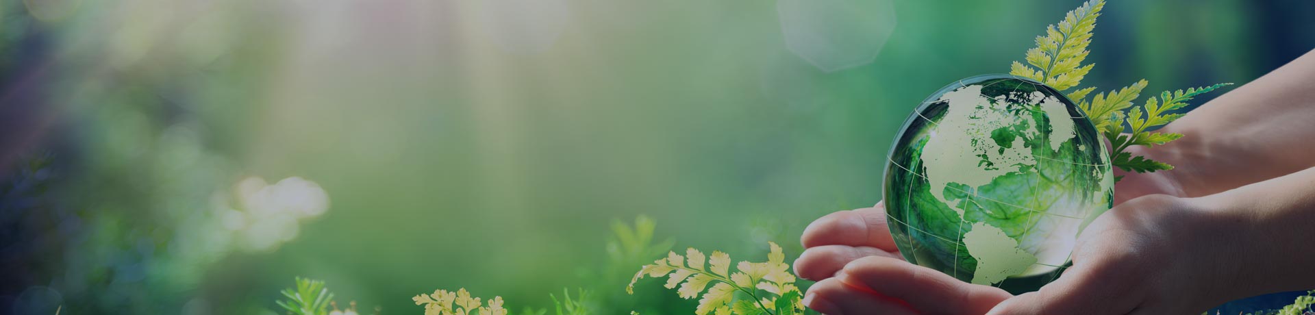 hands holding the world in a green environment