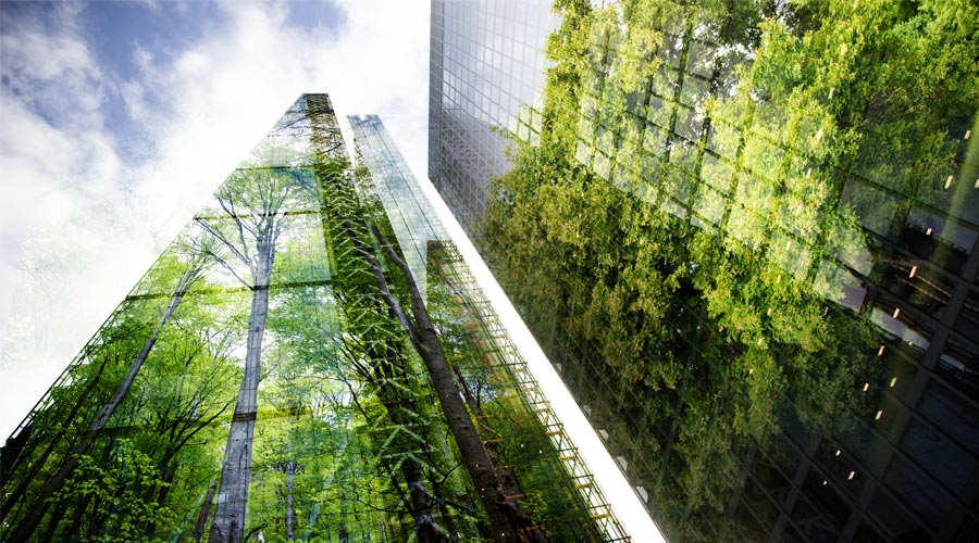 immeuble avec en reflet la nature