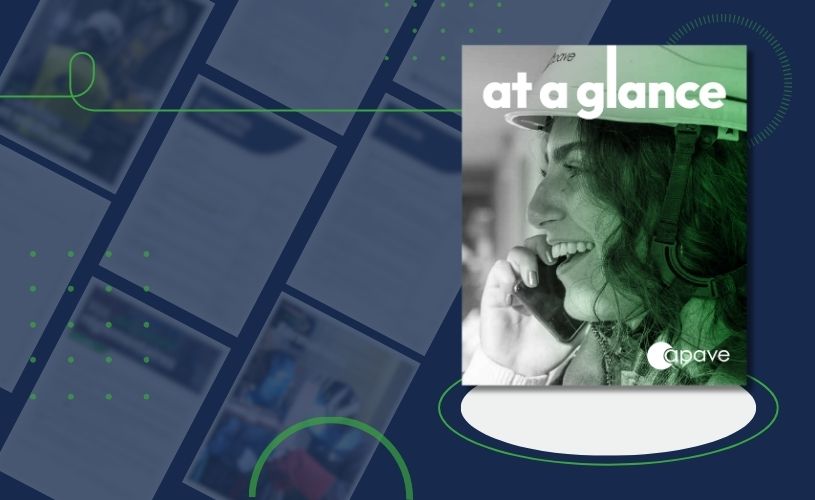 Apave at a glance