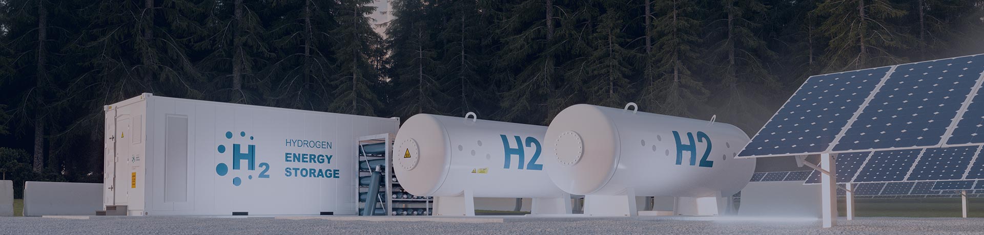 Différents éléments de stockage de l'hydrogène