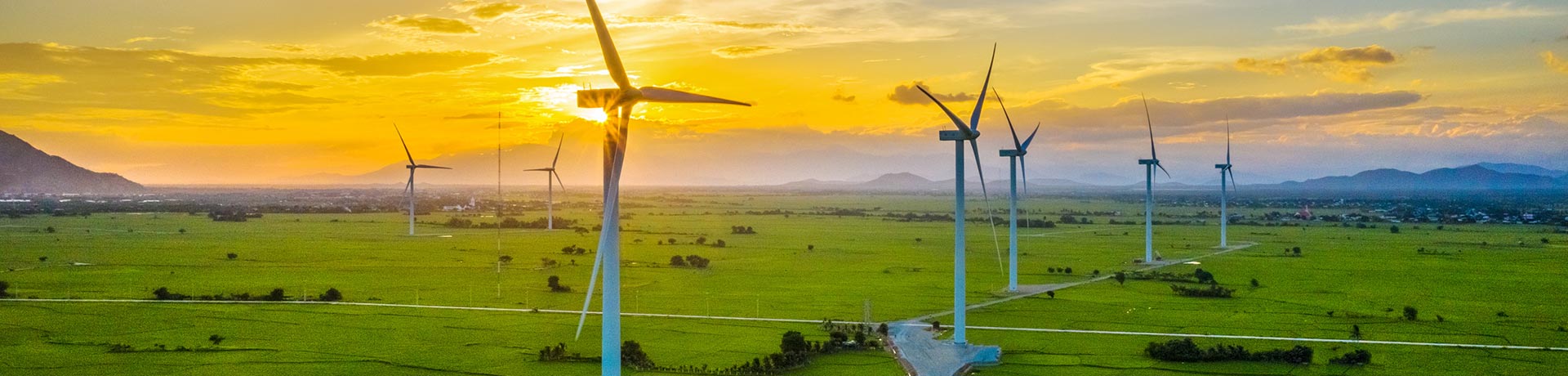 Wind turbines in a field