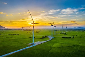 Wind turbines in a field