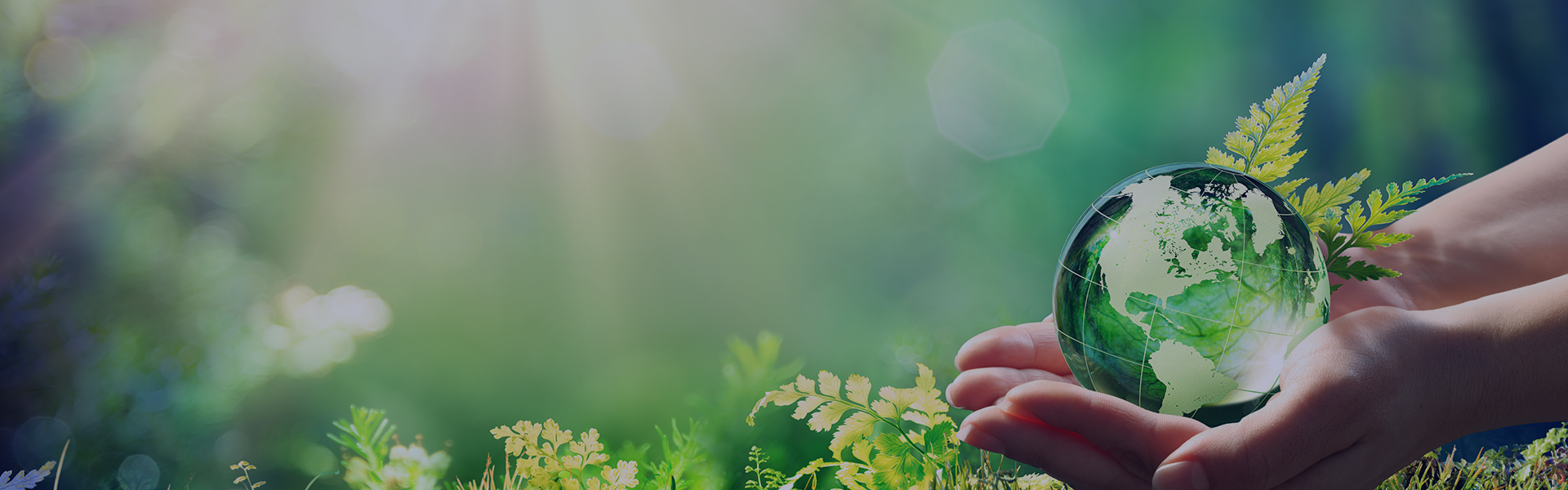Deux mains tiennent la planète Terre