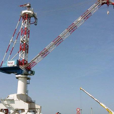 Grue barracuda à Toulon