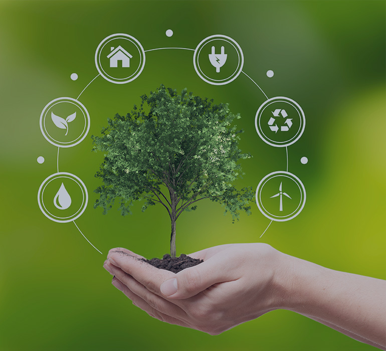 main tenant un petit arbre pour représenter l'écologie avec des pictogramme autour concernant le recyclage, les réductions d'électricité, une éolienne, une maison, de l'eau