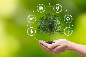 main tenant un petit arbre pour représenter l'écologie avec des pictogramme autour concernant le recyclage, les réductions d'électricité, une éolienne, une maison, de l'eau
